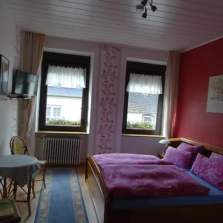 Pfeffermuhle Guest house *